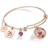 Aquarius (1.21-2.19)  Special Edition - Birthstone Amethyst Dark Pink