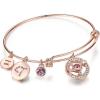 Gemini(5.21-6.21)  Special Edition - Birthstone Light Amethyst Pink